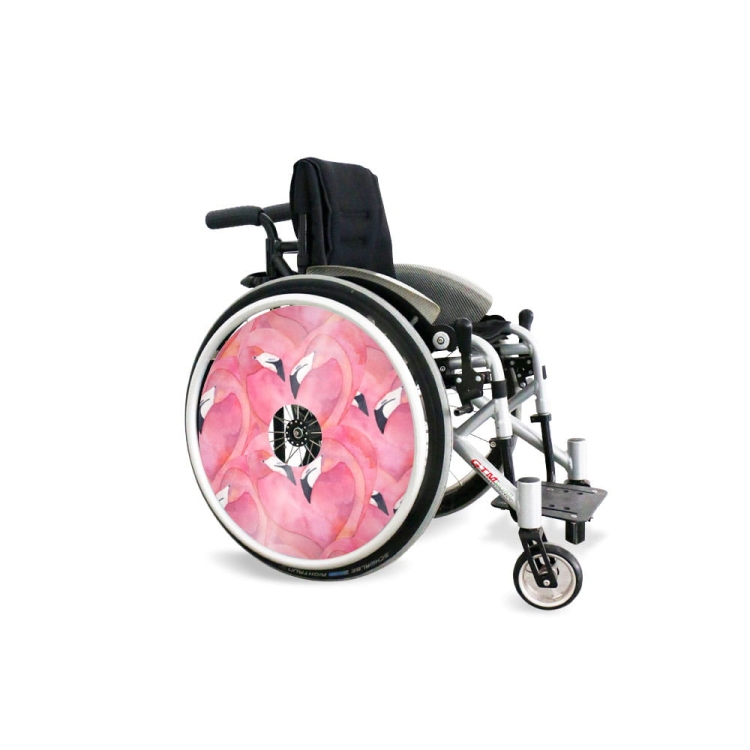 Wheel covers Flamingos