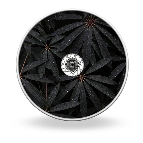 Wheel covers Tropical leaves no.3